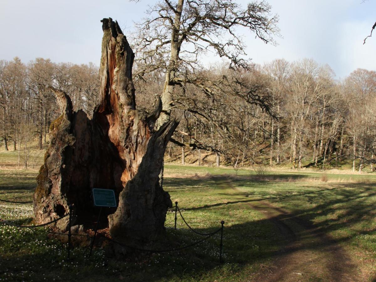 Soedertuna Slott Gnesta Dış mekan fotoğraf